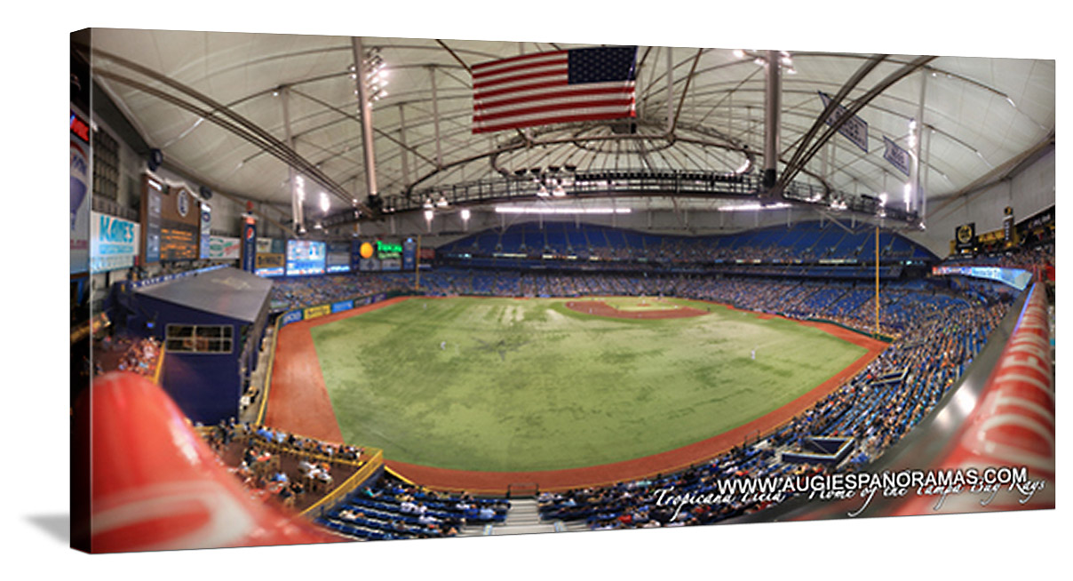 Tropicana Field Tampa Bay Rays Baseball Ballpark Stadium Spiral